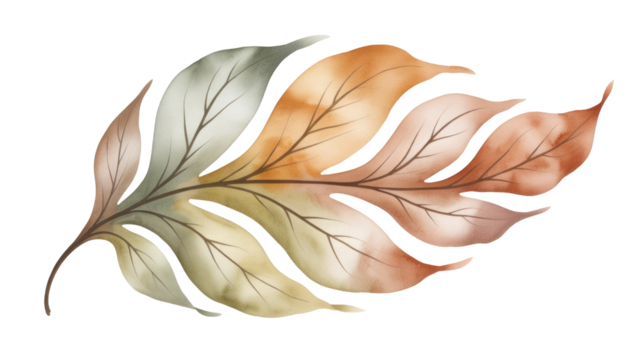 Watercolor painting of a single, stylized leaf in autumnal hues on a transparent background. background removed