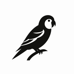 Fototapeta premium Exotic parrot perched peacefully on branch, graphic vector illustration silhouette