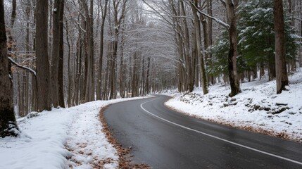 Serene snow-covered forest road curving through winter trees.