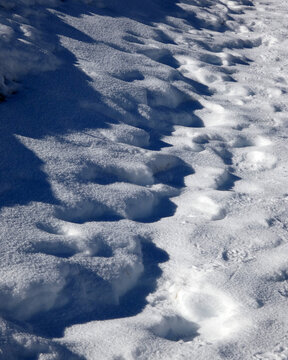 Monte Terminillo, Rieti, Lazio