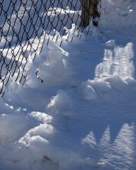 Monte Terminillo, Rieti, Lazio