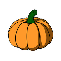 pumpkin isolated on white background