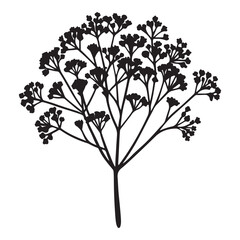 A Delicate Close-up of Baby's Breath, a Wispy and Ethereal Flower with a Cluster of Tiny White Blooms, a Symbol of Innocence and Everlasting Love