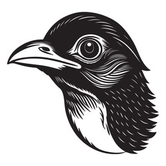 A Vibrant Close-up of a Malabar Trogon, a Striking and Colorful Bird with a Brilliant Red Chest, a Blue Eye Ring, and a Bold Black-and-White Plumage