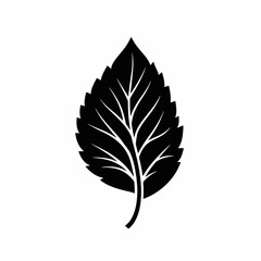 Single black leaf graphic vector illustration on white background silhouette