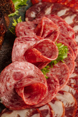 Assorted sausage platter on a plate. Different types of sausages – smoked, boiled, salami, and dry-cured – neatly arranged as an appetizing snack. Traditional meat dish served at festive tables, resta