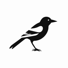 Obraz premium Graphic depiction of a magpie, a striking avian species, silhouette