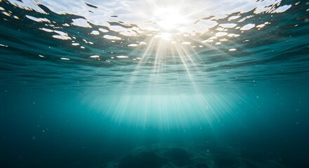 Sunlight streaming through clear ocean water, illuminating underwater rocks and marine life