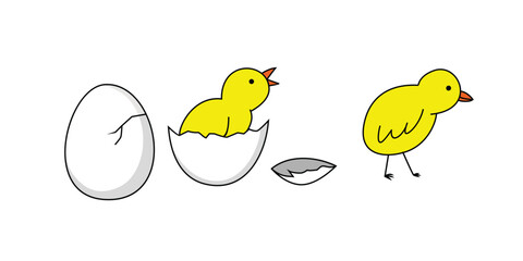 chick cartoon design. farm animal symbol.