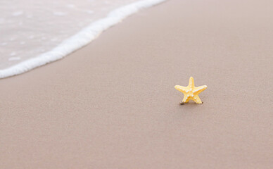 Starfish on the beach with sea background