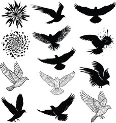 Collection of flying bird silhouettes and artistic vector designs with detailed line art and abstract elements for creative stock illustrations.