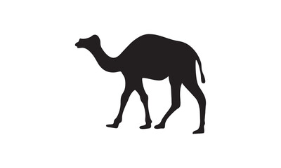 Isolated dromedary and bactrian camel cartoons illustrate desert animals traveling through nature's wild dunes