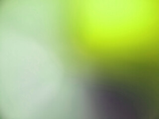 Soft Green Yellow and Grey Gradient Blurred Background with Subtle Light Effects abstract