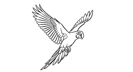 Detailed flying parrot line art illustration, tropical bird in flight drawing.