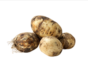 Photograph of potato tubers on a white background ultrarealistic photography