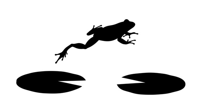 Leaping Frog Silhouette on Lily Pads.