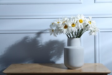 Beautiful chamomile flowers in vase on wooden table near grey wall. Space for text