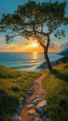 Tree on a grassy hill overlooking the ocean vertical background vertical background