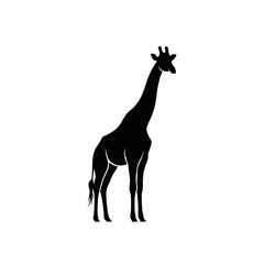 Striking giraffe silhouette for branding, wildlife education, or conservation campaigns with bold modern design appeal and versatile application for logos