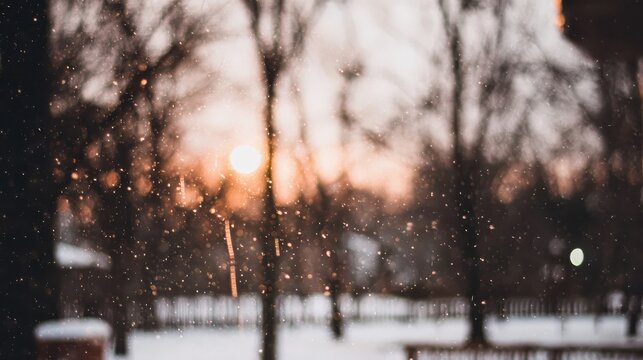 Serene winter scene with softly falling snow in muted illumination for seasonal and mood themes.