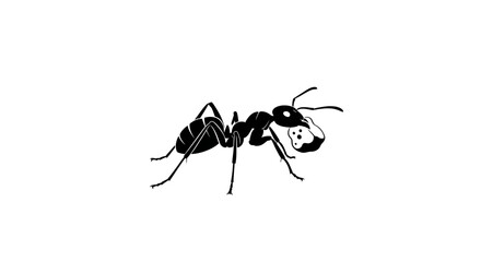 Black and White Silhouette of a Detailed Ant.