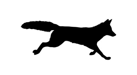 A simple black silhouette of a running fox with a long bushy tail.