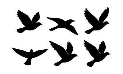 Silhouette set of flying birds on white background