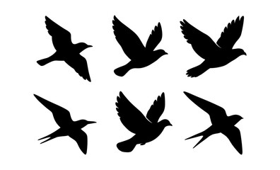 Obraz premium Silhouettes of birds in flight on white background