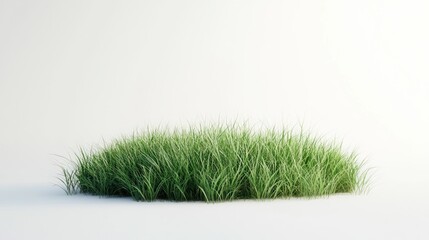 Green grass patch isolated background