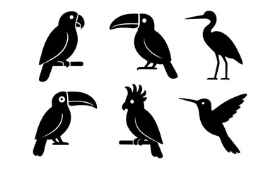 Naklejka premium Silhouette wildlife collection of birds: parrot, toucan, heron, cockatoo, hummingbird