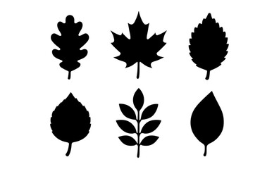 Set of black leaf silhouettes: nature shapes for design projects