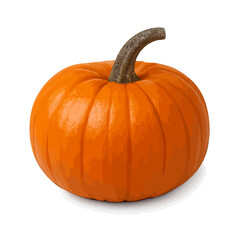Obraz premium small orange pumpkin isolated black background