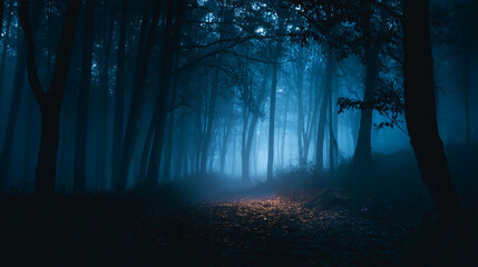 Naklejka premium A foggy forest landscape with tall trees and a mysterious light on the ground in the distance ahead view