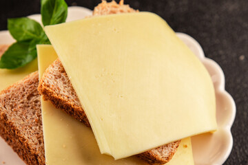 Sandwich cheese tasty snack fresh delicious gourmet food background on the table rustic top view copy space