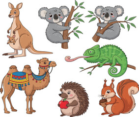Cartoon animals, kangaroo, koala, chameleon, camel, hedgehog, squirrel, global wildlife, cute illustration, kids, nature theme, playful characters