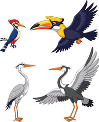 Cartoon birds, woodpecker, hornbill, heron, flying, exotic species, colorful feathers, nature illustration, wildlife, educational, wetland, tropical