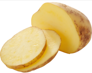 Photograph of a potato with two slices isolated on a white background in a solid color style in PNG format
