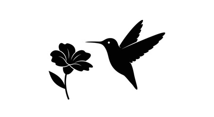 Silhouette of a Hummingbird Approaching a Flower.