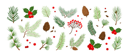 Christmas tree, fir, pine cone, holly berry, leaf branch, mistletoe, winter plant icon, Xmas nature set isolated on white background. Holiday vector illustration © Sylfida