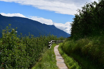 Der Marlinger Waalweg in Südtirol 