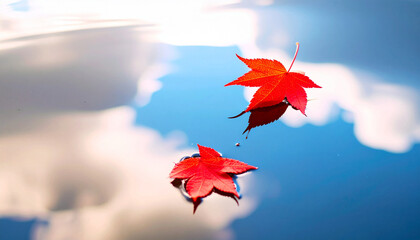 静止した水面に浮かぶ紅葉の背景_4