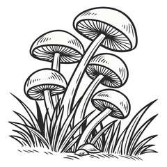 Group of five mushrooms with rounded caps and long stems, growing amidst lush grass, showcasing intricate details and natural beauty in a black and white illustration
