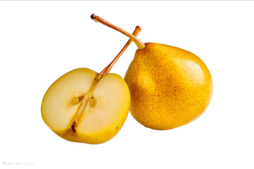 Isolated Golden Shrew Yamato pear cut in half whole golden apple on a white background Traditional Chinese fruit for healthy eating and food design Copy spac