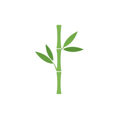 Naklejka premium bamboo isolated on white background