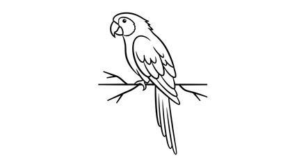 Simple black and white line art drawing of a parrot bird perched on a tree branch. © Ilma