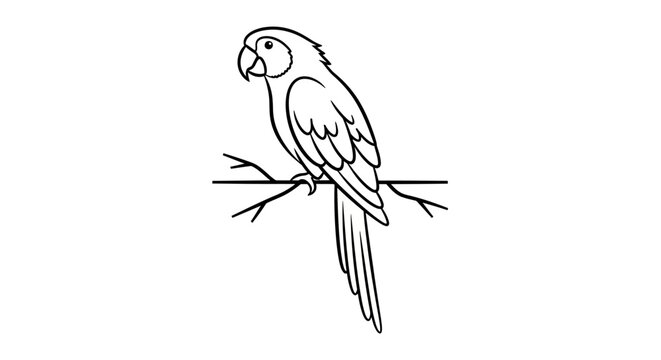 Simple black and white line art drawing of a parrot bird perched on a tree branch.