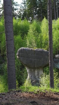 Limestone and sandstone rock formations in the famous Boulders Dwarfs nature reserve in Gorzeszw, summer. Poland, Lower Silesia. 