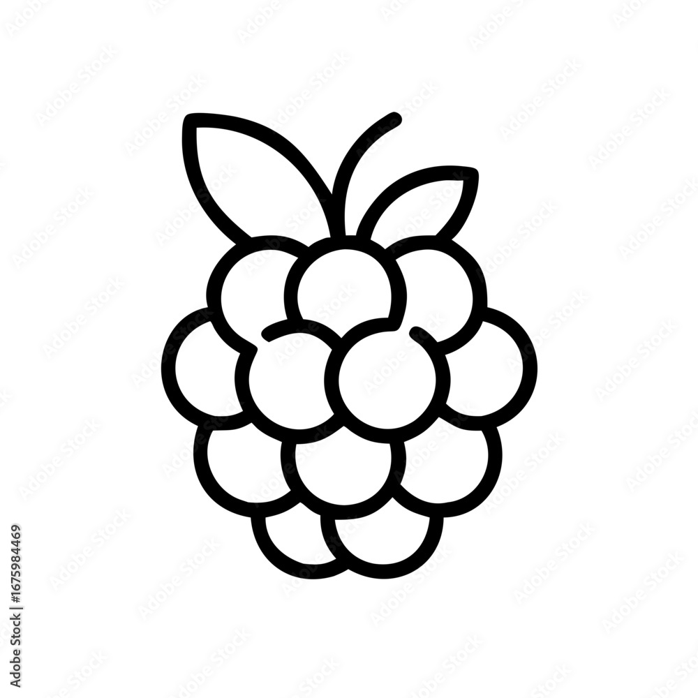 Poster outline drawing of a raspberry with two leaves at the top in a simple black and white illustration s