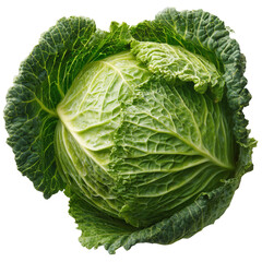 Fototapeta premium Fresh Green Cabbage Head on transparent png background