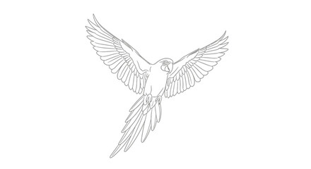 Elegant line drawing of a flying macaw parrot with outstretched wings.